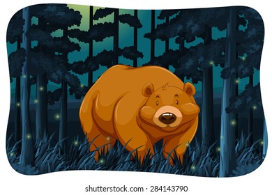 Brown bear and fireflies in the jungle at night