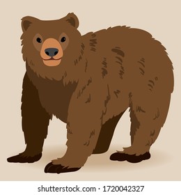 brown bear in flat style. Vector illustration isolated on the white background. wild animal vector.