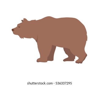 Brown bear flat style vector. Wild and dangerous omnivorous animal. Northern fauna species. For nature concepts, children's books illustrating, printing materials. Isolated on white background