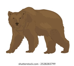 Urso pardo ou urso pardo. O maior predador da floresta siberiana. Animal selvagem em um parque natural. Ilustração vetorial em estilo plano.