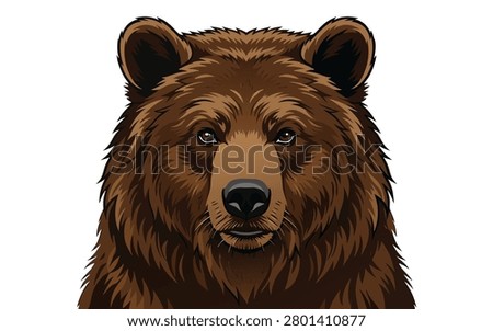 Brown bear head front facing vector illustration with wildlife predator portrait isolated illustration