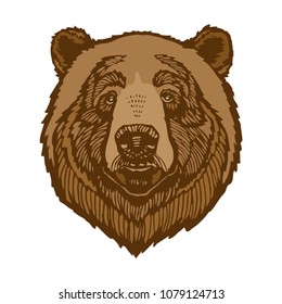 Brown Bear Head Portrait Vector Illustration Isolated On White Background