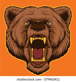 Brown bear head. Vector cartoon illustration