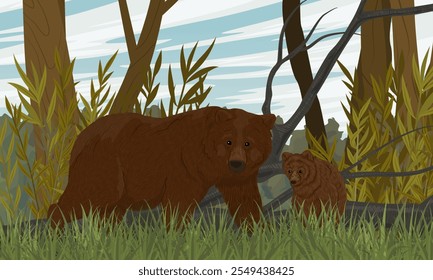 Um urso pardo e seu filhote caminham por uma floresta com grama verde alta. Paisagem de vetor realista