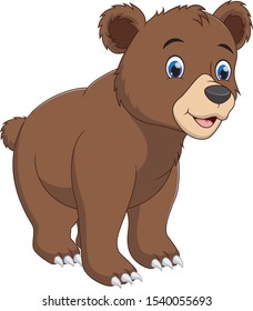 A brown bear isolated on white background