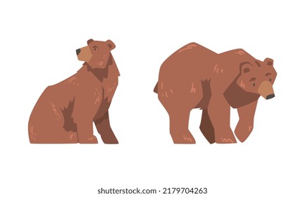 Brown Bear as Large Wild Terrestrial Carnivore Mammal with Thick Fur Sitting and Walking Vector Set