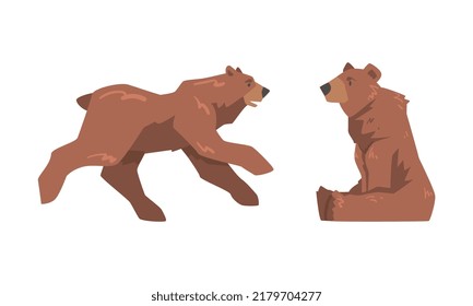 Brown Bear as Large Wild Terrestrial Carnivore Mammal with Thick Fur Sitting and Running Vector Set