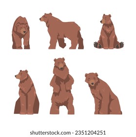 Brown Bear as Large Wild Terrestrial Carnivore Mammal with Thick Fur Vector Set