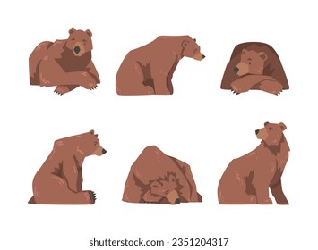 Brown Bear as Large Wild Terrestrial Carnivore Mammal with Thick Fur Vector Set