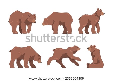 Brown Bear as Large Wild Terrestrial Carnivore Mammal with Thick Fur Vector Set