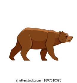 A Brown Bear looking and walking. Cartoon character of big mammal animal. Wild forest creature with brown fur. Vector flat illustration isolated on white background.