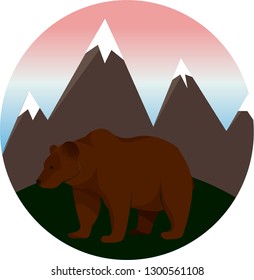 brown bear in the mountains