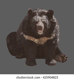 Brown bear on a dark background. 