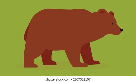 brown bear on a green background