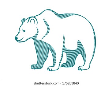 brown bear on a white background