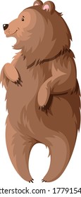 Brown bear on a white background.