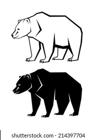 brown bear on a white background