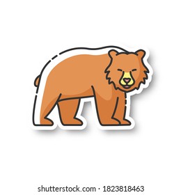 Brown bear patch. Large carnivore predator, dangerous woodland creature, forest inhabitant. Common nordic fauna RGB color printable sticker. Grizzly bear vector isolated illustration