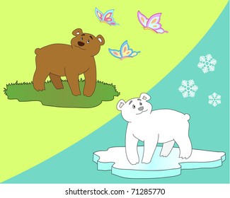 brown bear and polar bear
