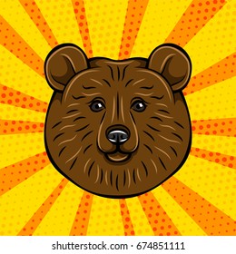 Brown bear portrait wild animal. Vector illustration isolated on comic background