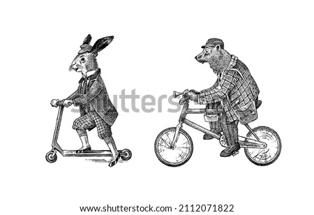 Brown bear rides a bike. Hare or rabbit on a scooter. Antique gentleman in a cap and coat. Victorian Ancient Retro Clothing. A man on a cycle. Vintage engraving style. Hand drawn old sketch.