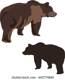 The brown bear is a Russian symbol