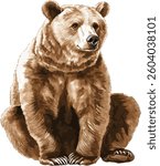 Brown Bear Sitting Isolated on White Background vector illustration
