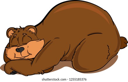 Brown bear sleeping on white background. Cartoon vector illustration.