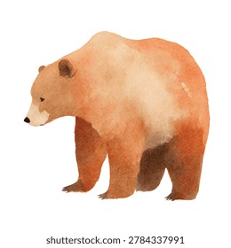 Brown bear standing in profile view