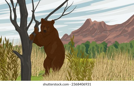 A brown bear stands on its hind legs near a tree. Valley with bushes and grass at the foot of the mountains. Wild nature. Realistic vector landscape