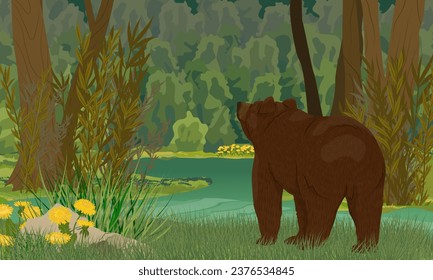 Ein brauner Bär steht am Ufer eines Sumpfes in einem dichten dunklen Wald. Realistische Vektorlandschaft