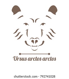 Brown bear (Ursus Arctor Arctos) logo in retro style