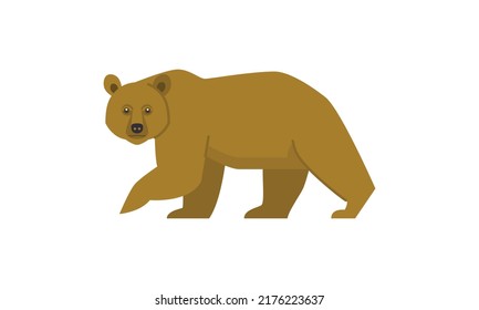 Brown bear (Ursus arctos) in side angle view, flat style vector illustration isolated on white background