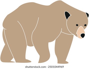 Brown bear vector, bear vector, bear illustration