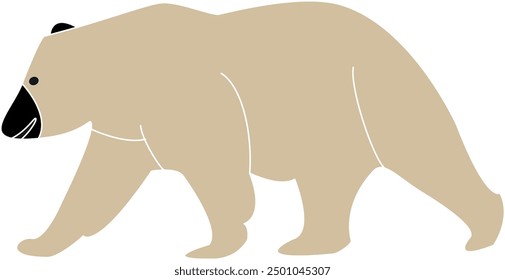 Brown bear vector, bear vector, bear illustration