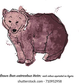 Brown Bear vector watercolor 6 color separated