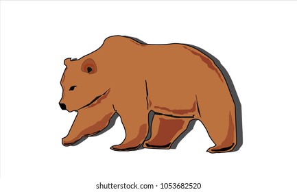 
Brown bear walking
