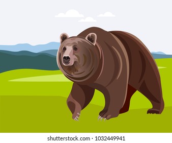 Brown bear walking in a grassy field with mountains in the background. Vector illustration