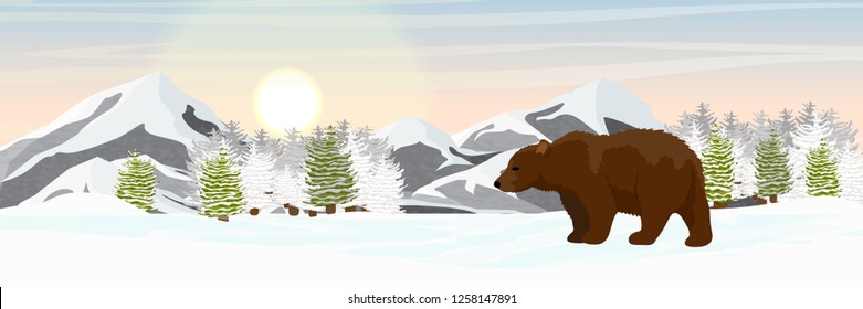 Brown bear is walking in the snow-covered spruce forest. Mountains on the horizon. Wild animals of Eurasia and America. Realistic Vector Landscape