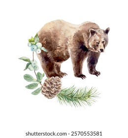 Brown bear watercolor. Fir branch, cone, berry sprig. Hand drawn vector illustration. Cards, invitations, posters, banners, wildlife protection day.