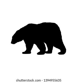 Brown bear wild black silhouette animal. Vector Illustrator.