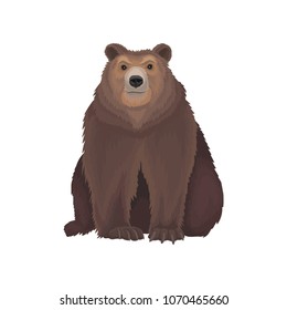 Brown bear wild northern forest animal vector Illustration on a white background