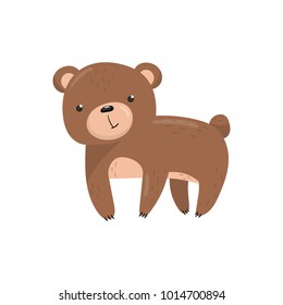 Brown bear woodland cute animal cartoon vector Illustration