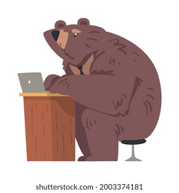 Brown Bear Working on Laptop Computer, Businessman Animal Character Working in Office Cartoon Vector Illustration
