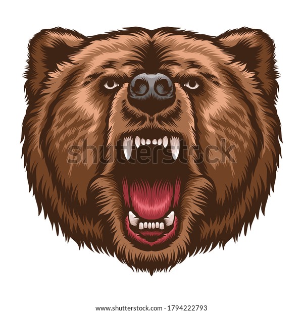 Brown Bears Head Detail Vector Illustration Stock Vector (royalty Free 