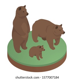 El marrón lleva una ilustración isométrica. Vector de material. Dos osos adultos y su cachorro. Oso parado en sus patas traseras.