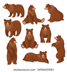 Brown bears set. Different views and poses of cute cartoon grizzly sitting, standing, walking isolated on white. Vector illustrations for wildlife, predators, mammal animals concept