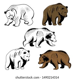 Brown bears set  for mascot or logo design