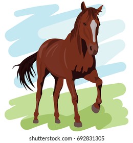 A brown beautiful horse walks along the grass. The leg is up. A carefully drawn horse moves to the right. Blue sky and green grass.