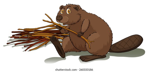 Brown beaver holding a stick on a white background